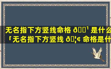 无名指下方竖线命格 🌹 是什么「无名指下方竖线 🦢 命格是什么图片」